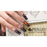 ONS Color Acrylic Powder Collection | Primary Collection