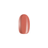 ONS The Nude Gel Collection