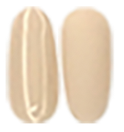 III Partner by Odyssey Nail Systems (PSIII01-PSIII60)