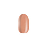ONS The Nude Gel Collection